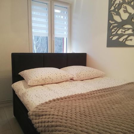 Apartament Stella Duszniki Zdrój Exterior foto