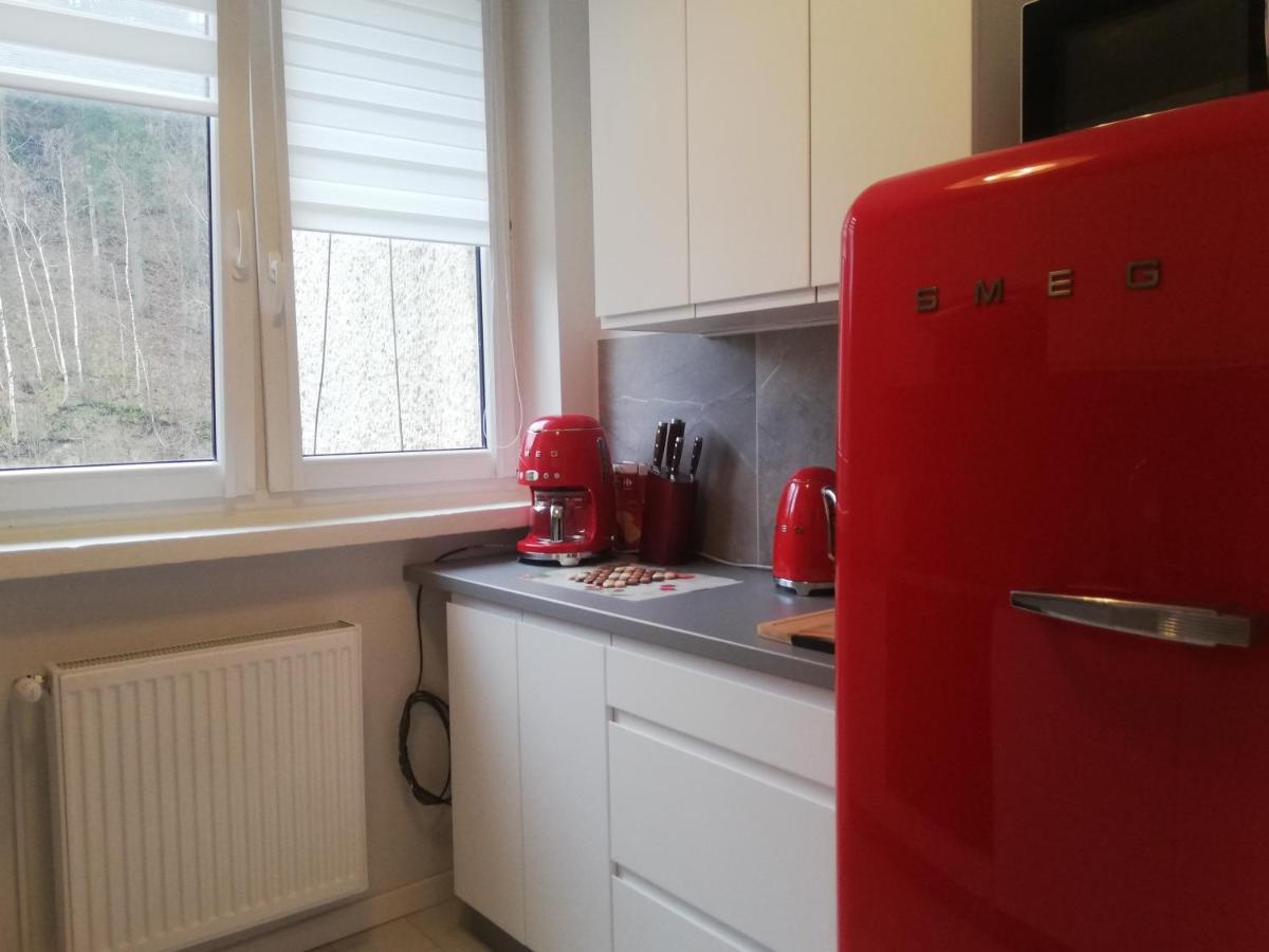 Apartament Stella Duszniki Zdrój Exterior foto