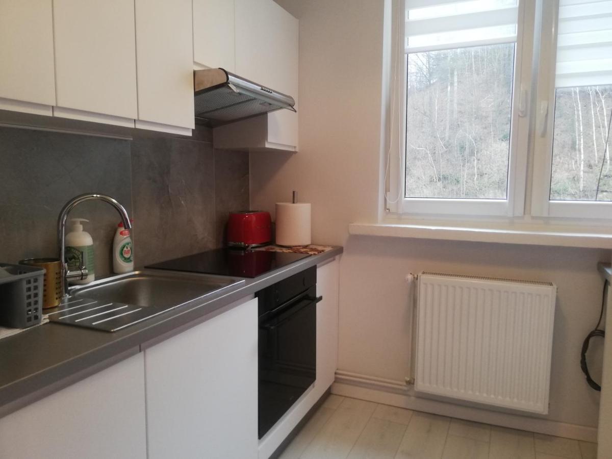 Apartament Stella Duszniki Zdrój Exterior foto